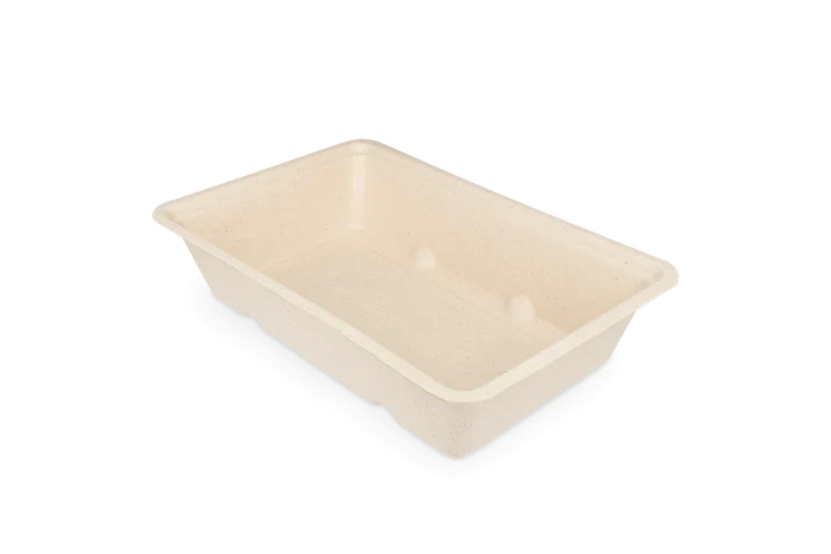 Snacktray Bagasse A13 50 st